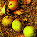 Apples